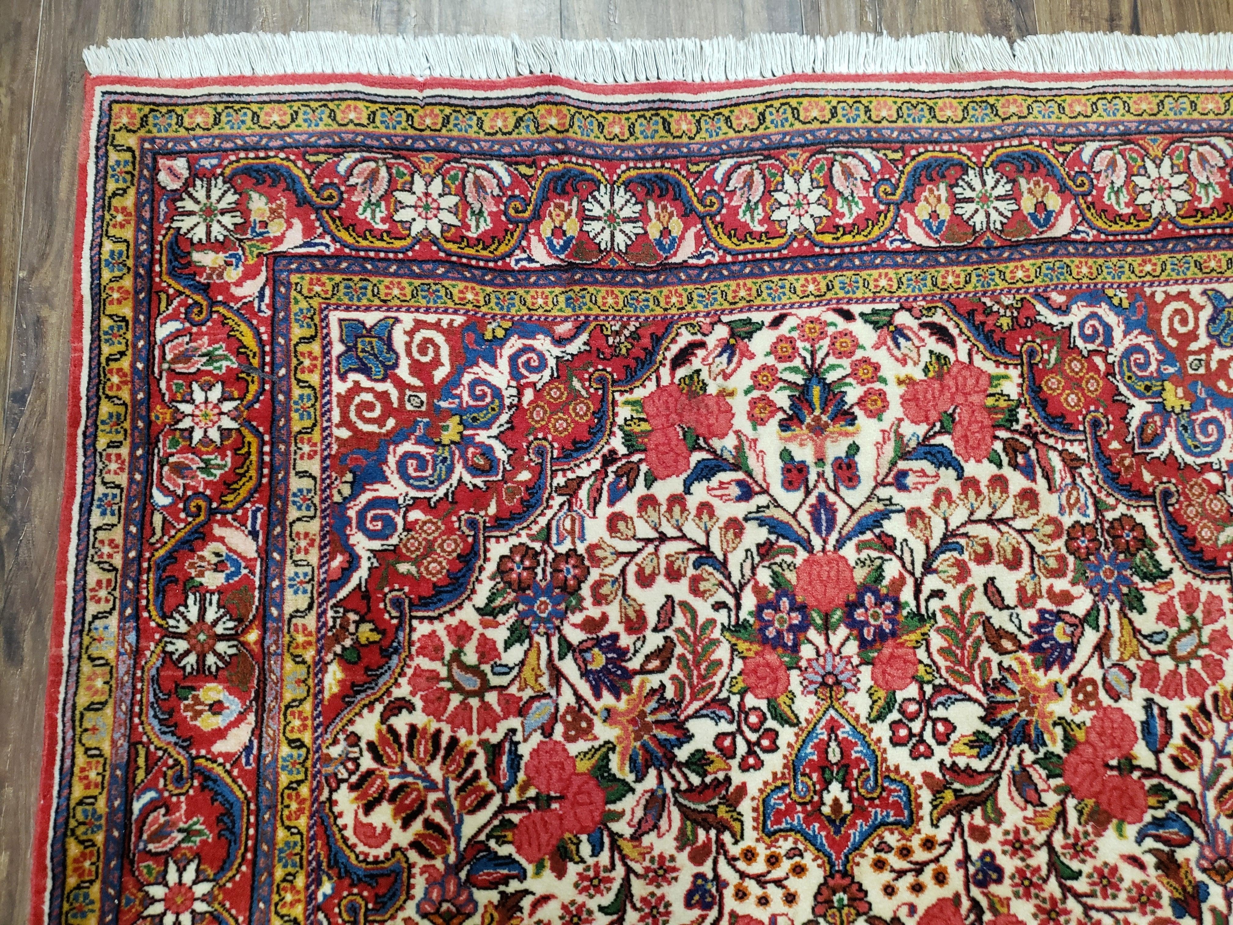 Semi Antique Persian Bidjar Rug, Ivory Red & Blue, Floral, Hand-Knotted, Wool, 3'4" x 5'3" - Jewel Rugs