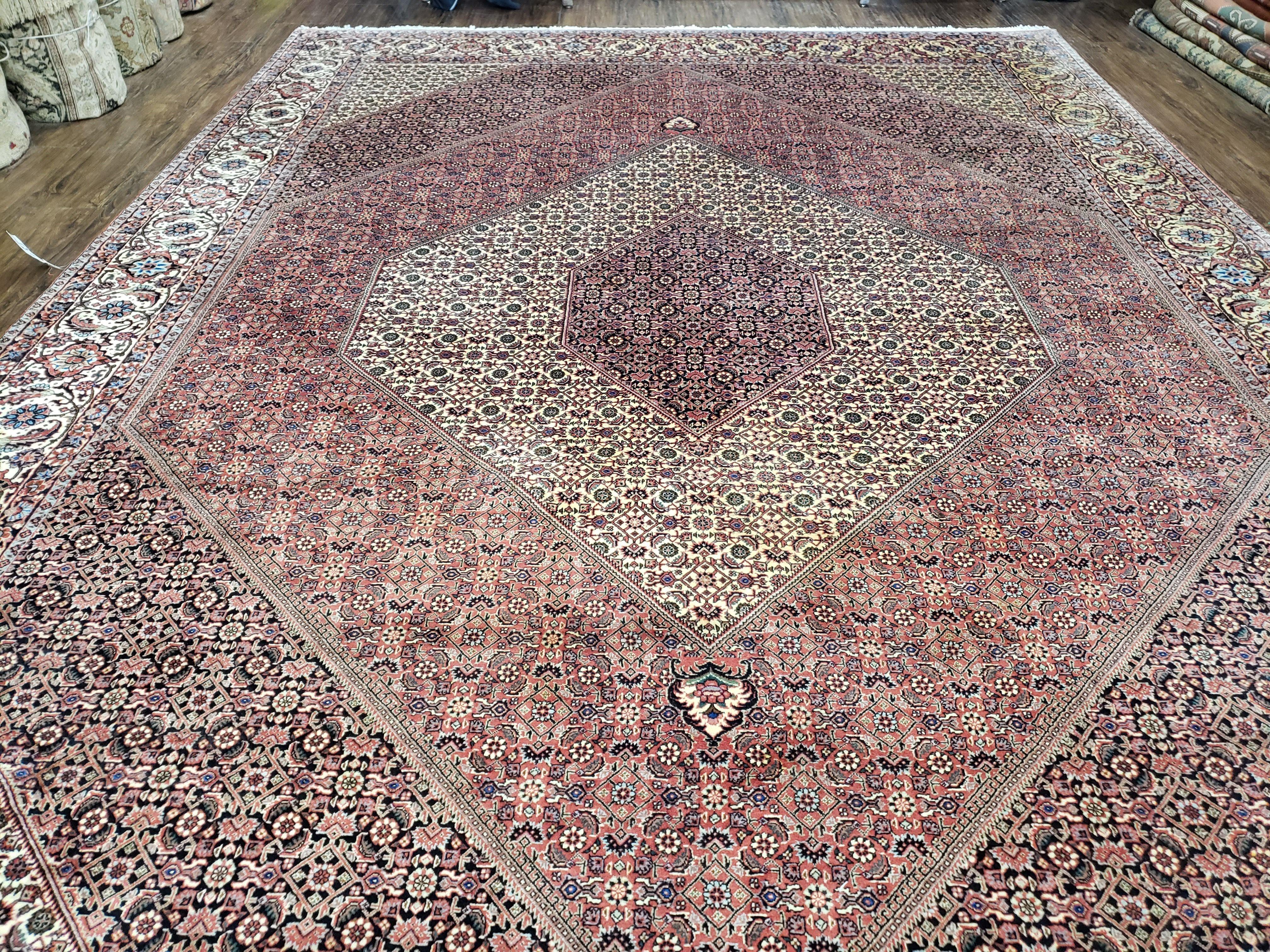 Stunning Persian Bidjar Rug 8x11 - Herati Mahi Pattern - High Quality Oriental Bijar Carpet - Vintage 8 x 11 Rug - Hand Knotted Wool Rug - Salmon Red Beige Black - Jewel Rugs