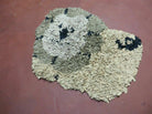 2' X 3' Vintage HOMEFIRES Thai Rya Shag Rug Modern Lion Shaped Thailand Nice - Jewel Rugs