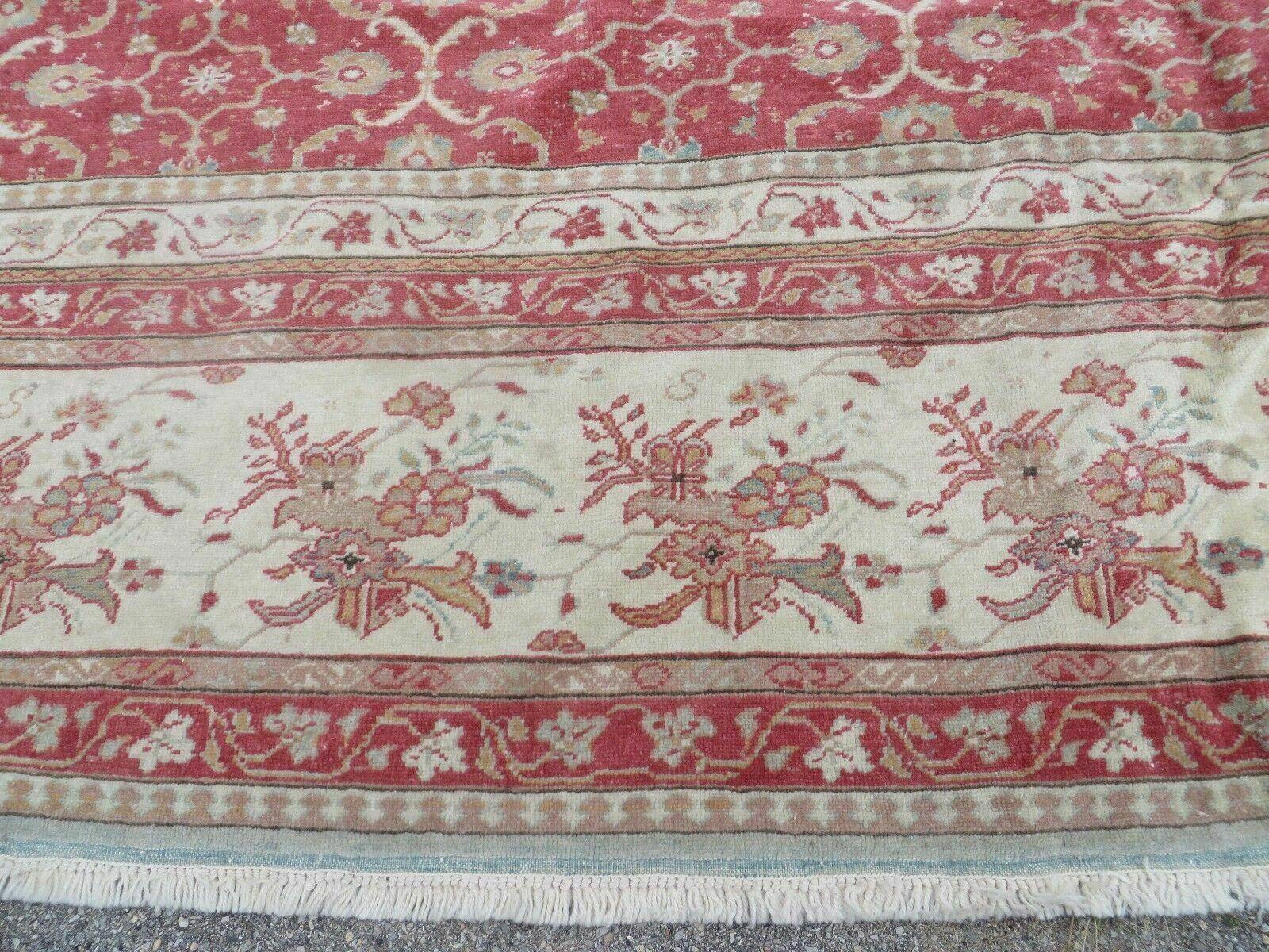 12' X 18' Palace Size Handmade Egyptian Wool Rug Carpet Soft Colors Red & Beige - Jewel Rugs